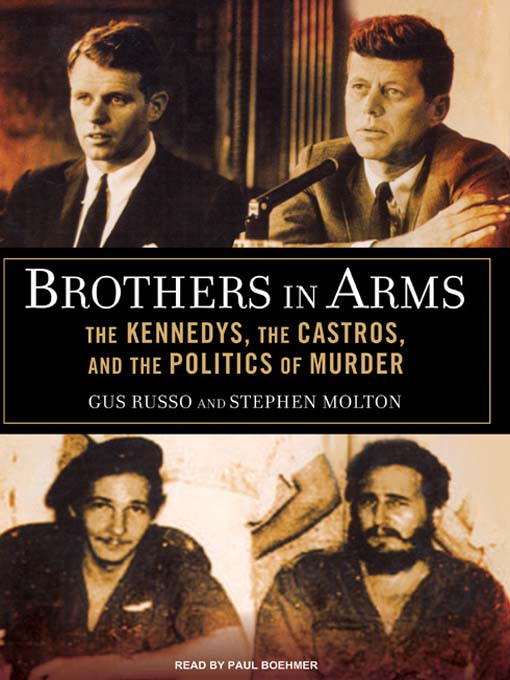 Title details for Brothers in Arms by Stephen Molton - Wait list